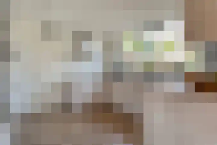 de Voortmors 69 Weerselo thumbnail 11