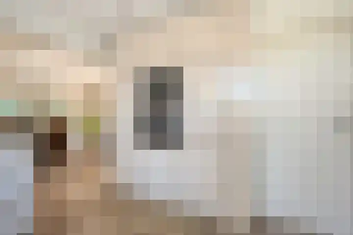 de Voortmors 69 Weerselo thumbnail 12