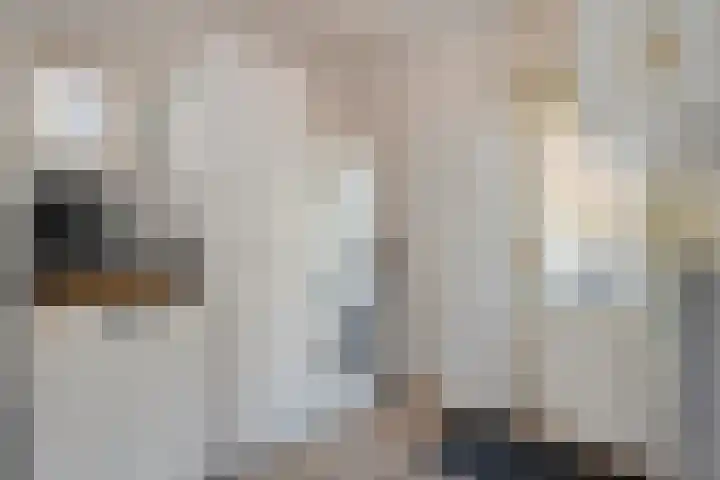 de Voortmors 69 Weerselo thumbnail 13
