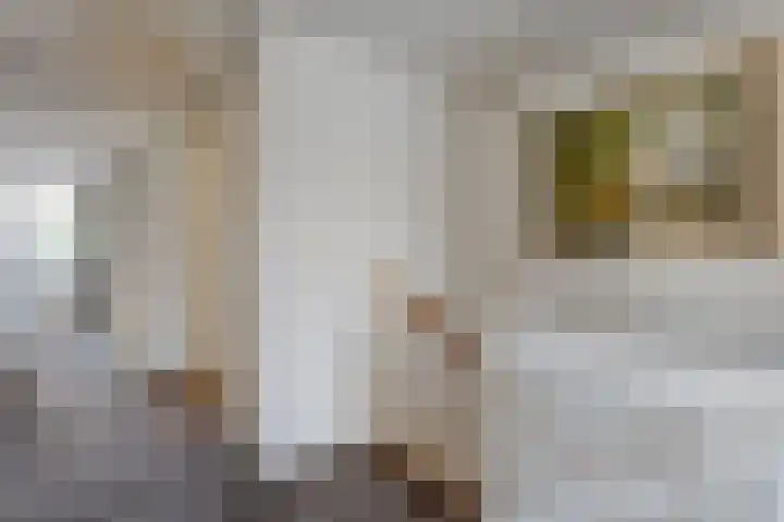 de Voortmors 69 Weerselo thumbnail 14