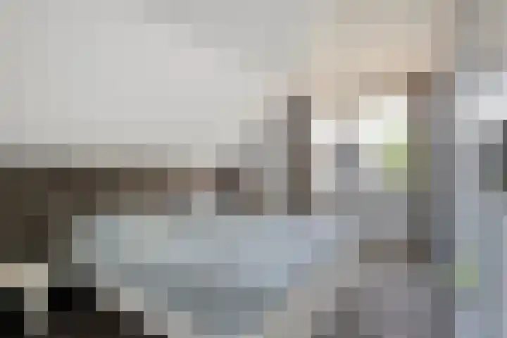 de Voortmors 69 Weerselo thumbnail 15