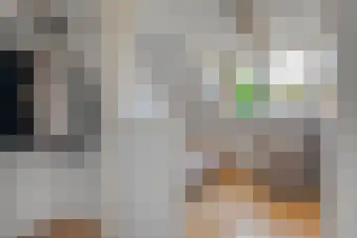 de Voortmors 69 Weerselo thumbnail 16