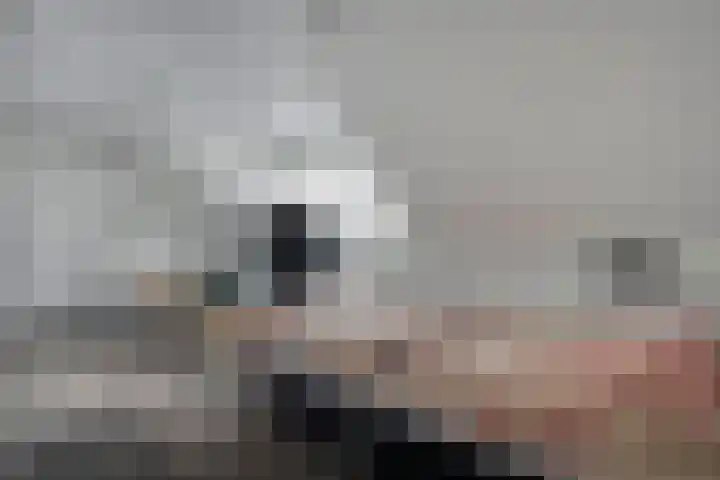 de Voortmors 69 Weerselo thumbnail 19