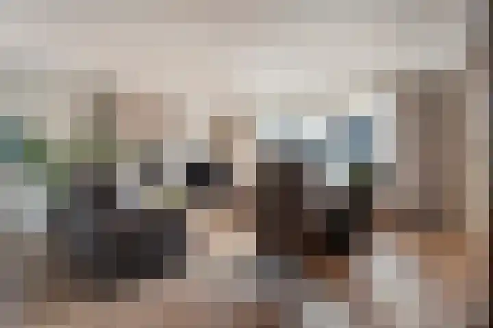 de Voortmors 69 Weerselo foto 2