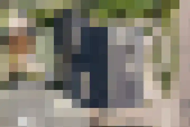 de Voortmors 69 Weerselo thumbnail 22