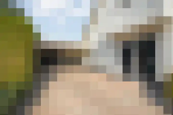 de Voortmors 69 Weerselo thumbnail 23