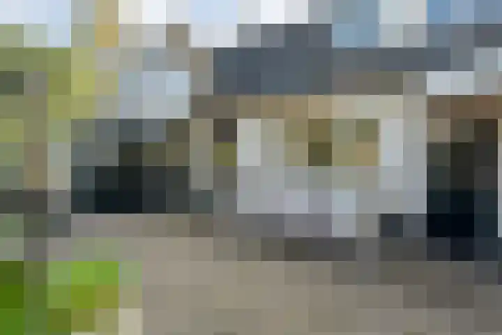 de Voortmors 69 Weerselo thumbnail 24
