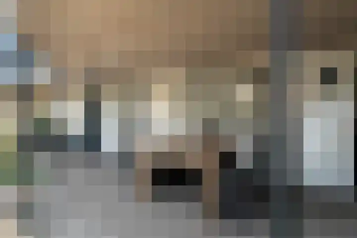 de Voortmors 69 Weerselo thumbnail 25