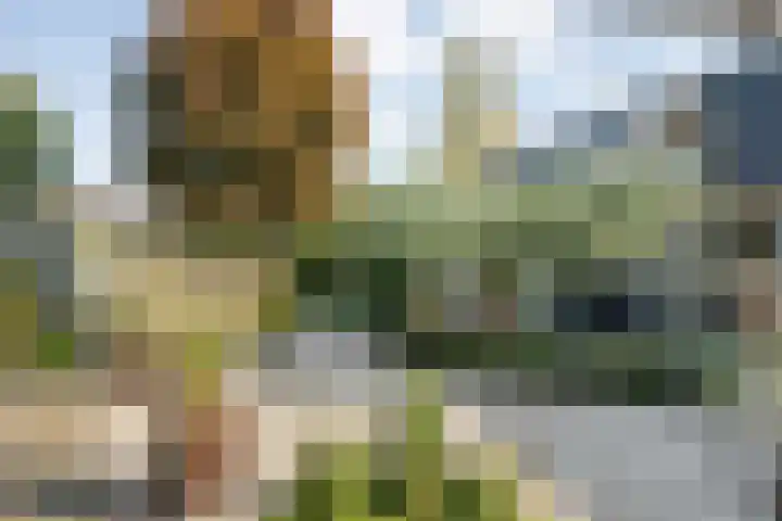 de Voortmors 69 Weerselo thumbnail 26