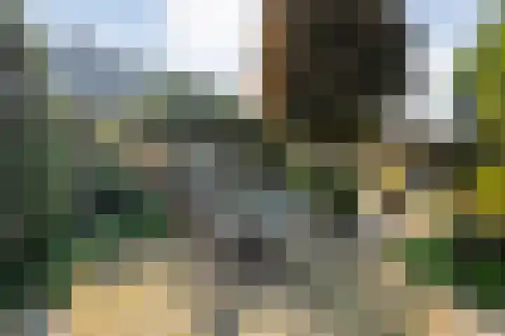 de Voortmors 69 Weerselo thumbnail 27
