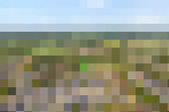 de Voortmors 69 Weerselo thumbnail 29