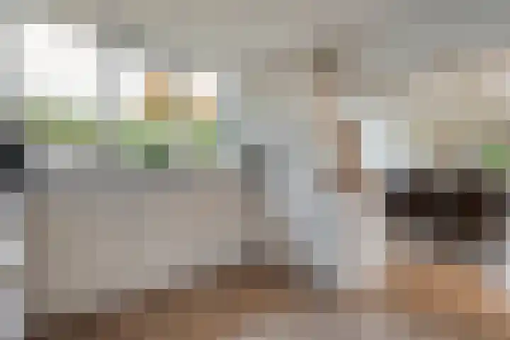 de Voortmors 69 Weerselo foto 3