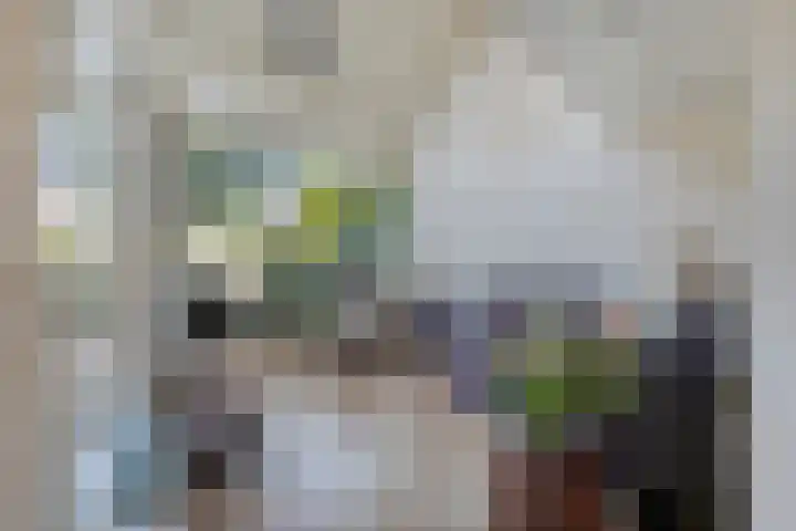 de Voortmors 69 Weerselo thumbnail 4