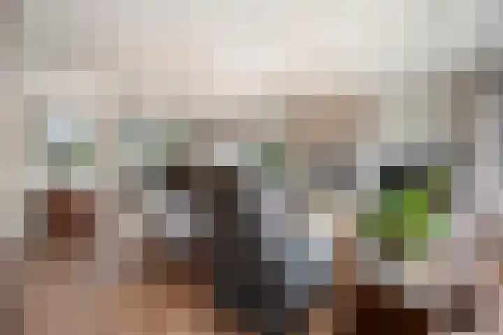 de Voortmors 69 Weerselo thumbnail 7