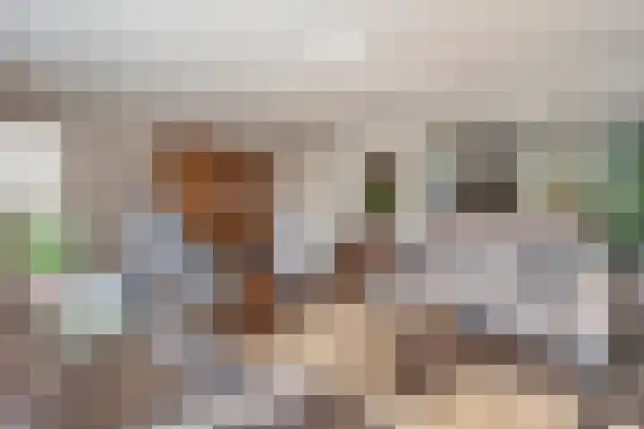 de Voortmors 69 Weerselo thumbnail 8