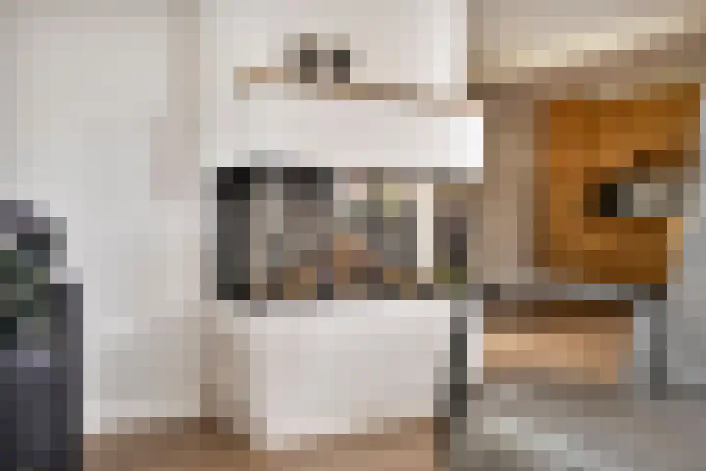 De Voortstraat 5 Veghel thumbnail 15
