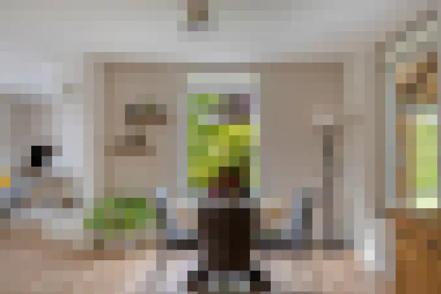 De Voortstraat 5 Veghel thumbnail 18