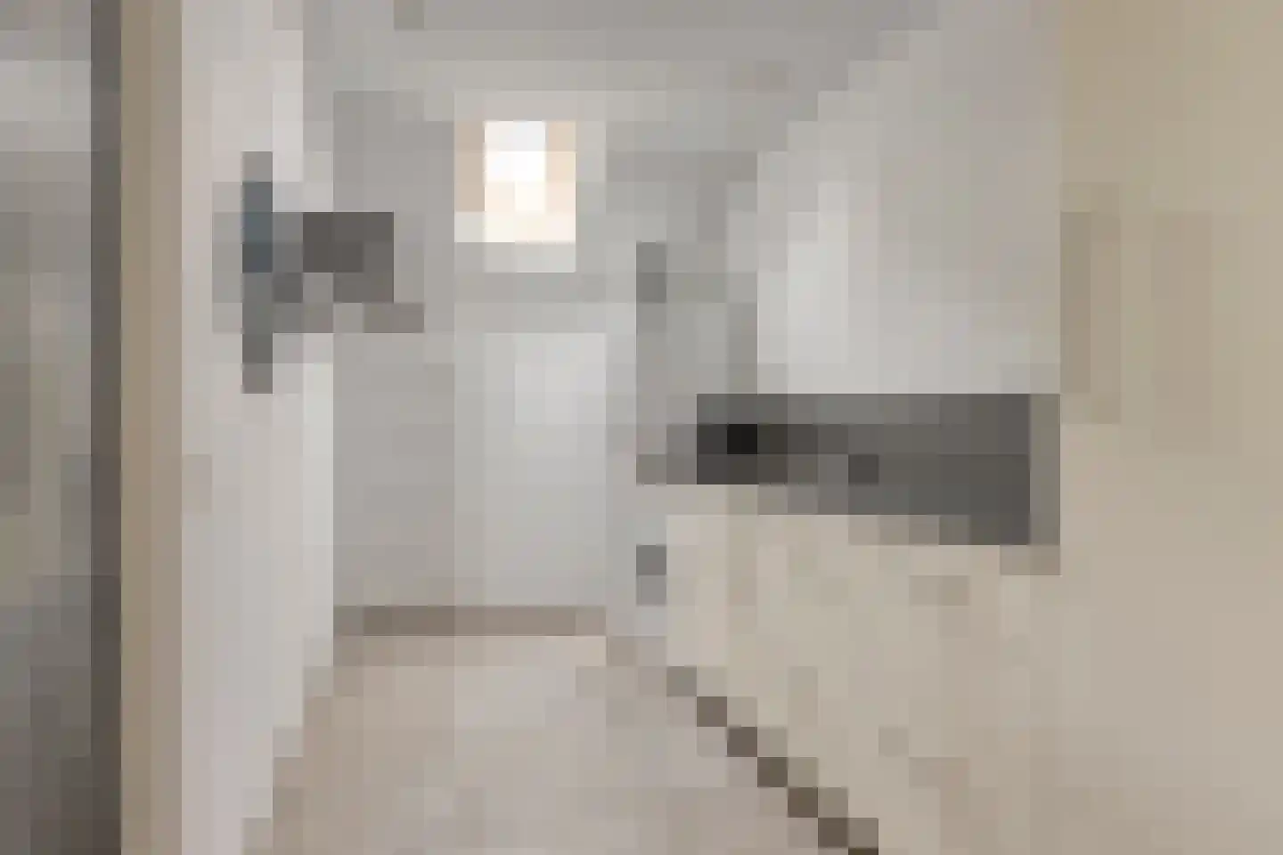 De Voortstraat 5 Veghel thumbnail 22