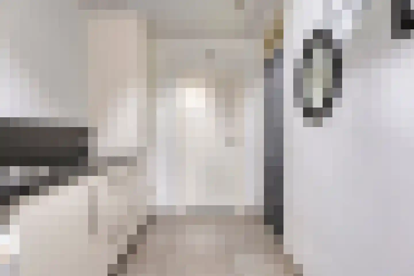 De Voortstraat 5 Veghel thumbnail 23
