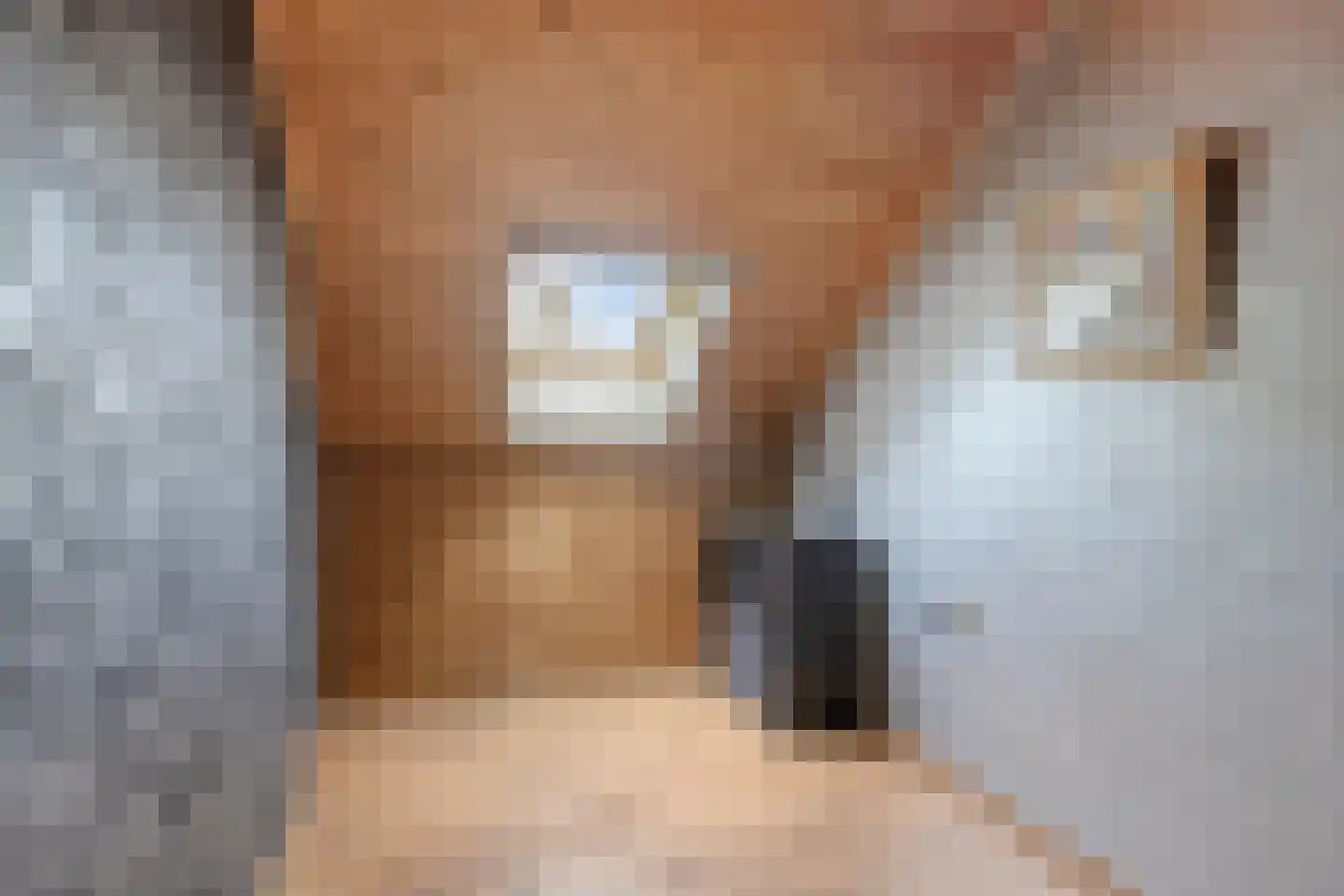 De Voortstraat 5 Veghel thumbnail 32