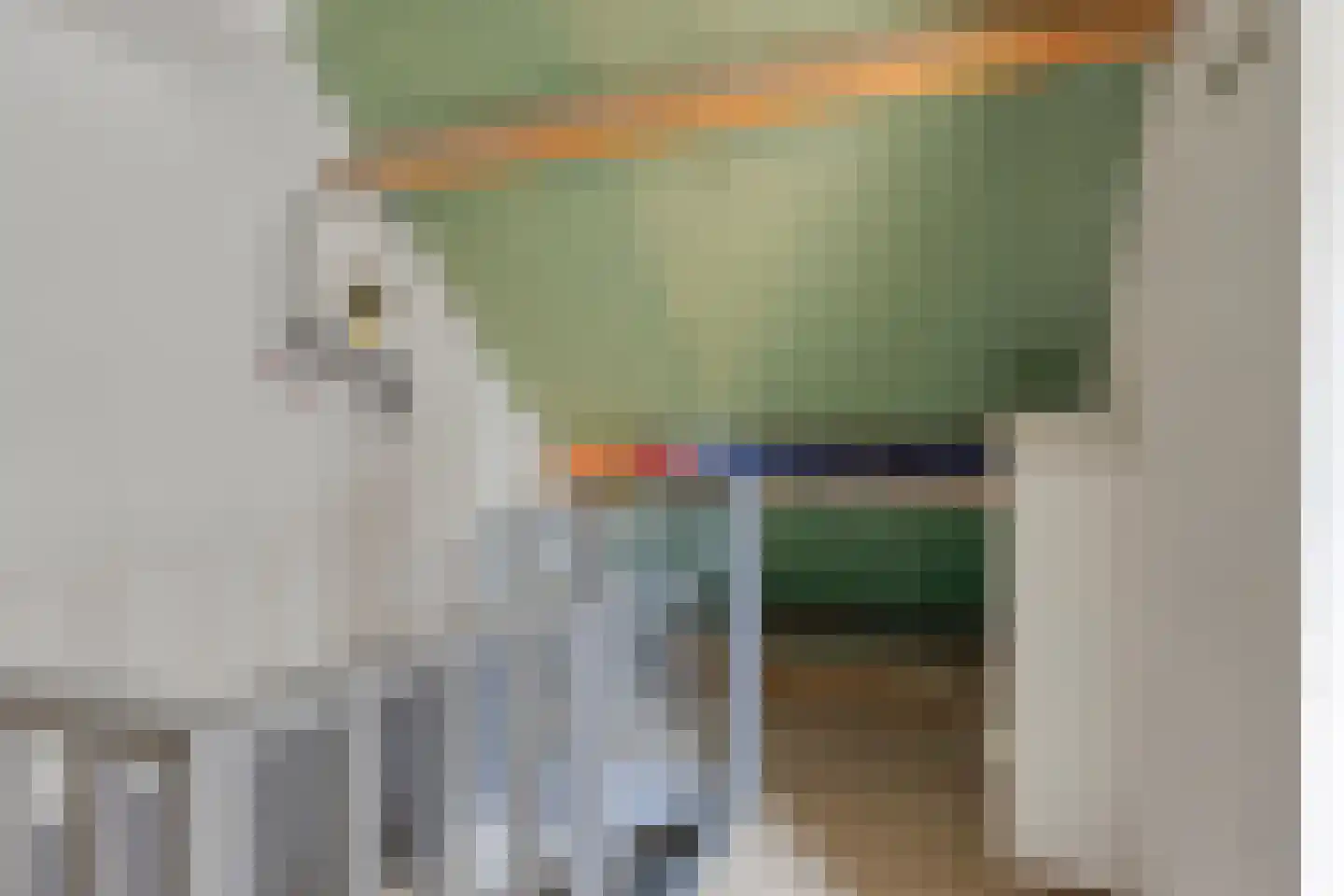 De Voortstraat 5 Veghel thumbnail 34