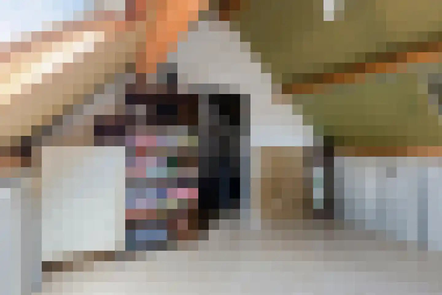 De Voortstraat 5 Veghel thumbnail 36