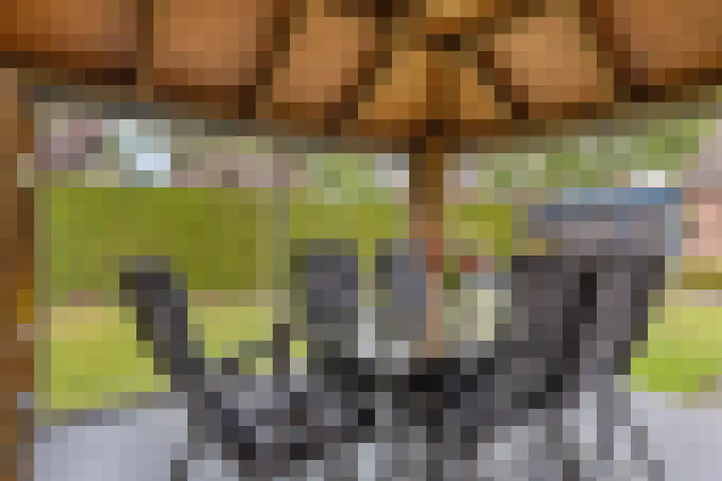 De Voortstraat 5 Veghel thumbnail 38