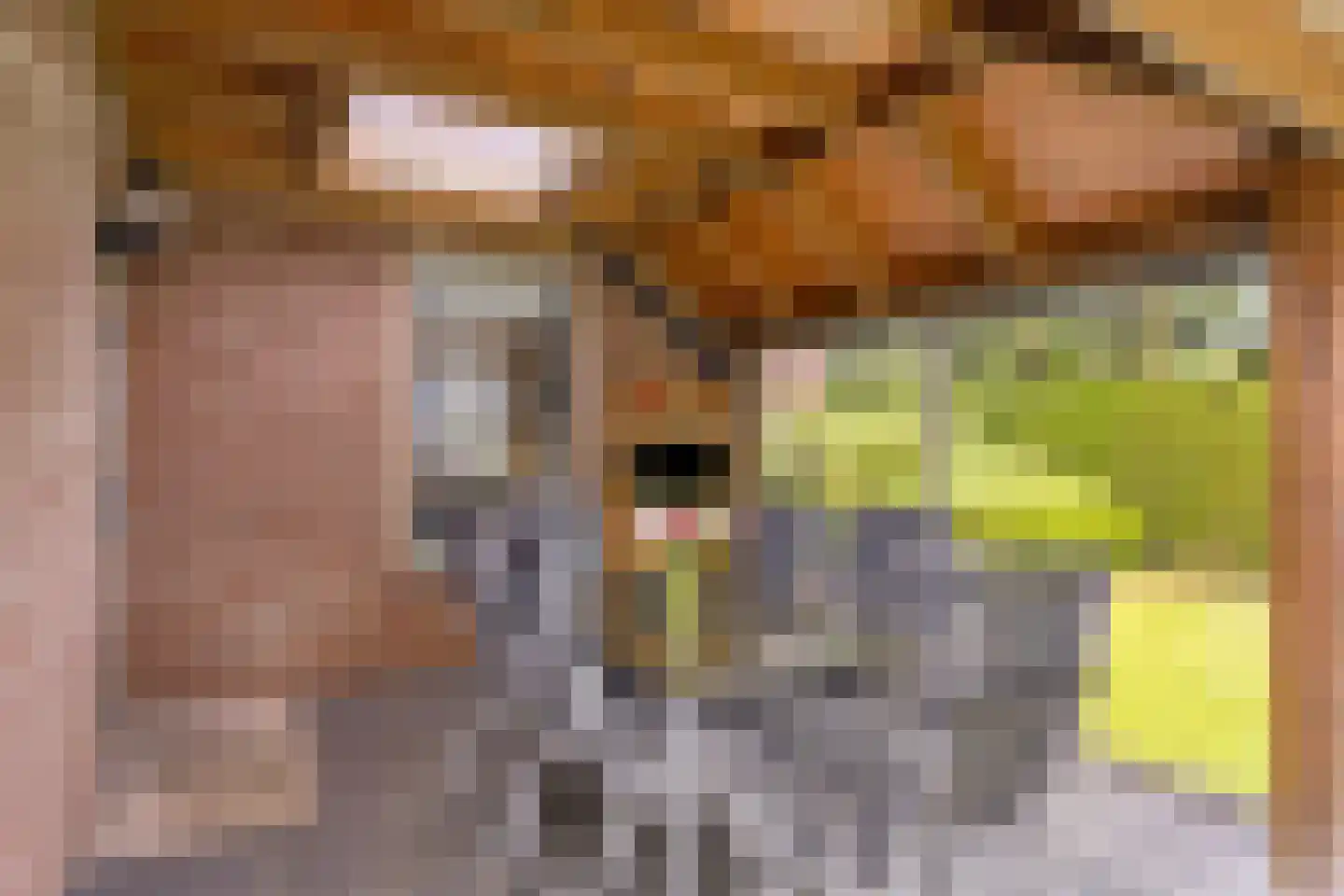 De Voortstraat 5 Veghel thumbnail 39