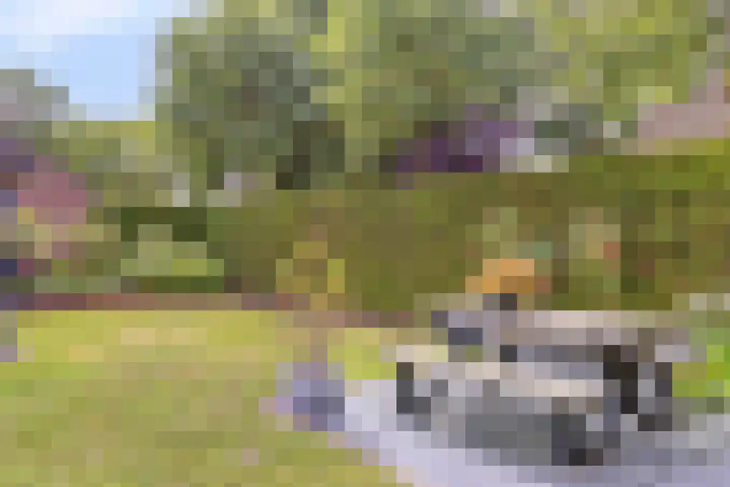 De Voortstraat 5 Veghel thumbnail 42
