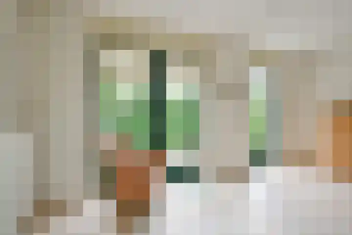 De Vooruitgang 14 Wervershoof thumbnail 10