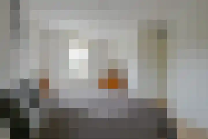 De Vooruitgang 14 Wervershoof thumbnail 15