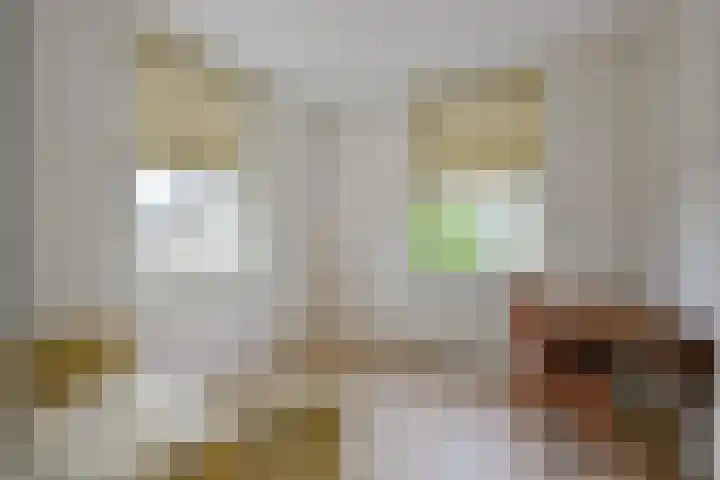 De Vooruitgang 14 Wervershoof thumbnail 17