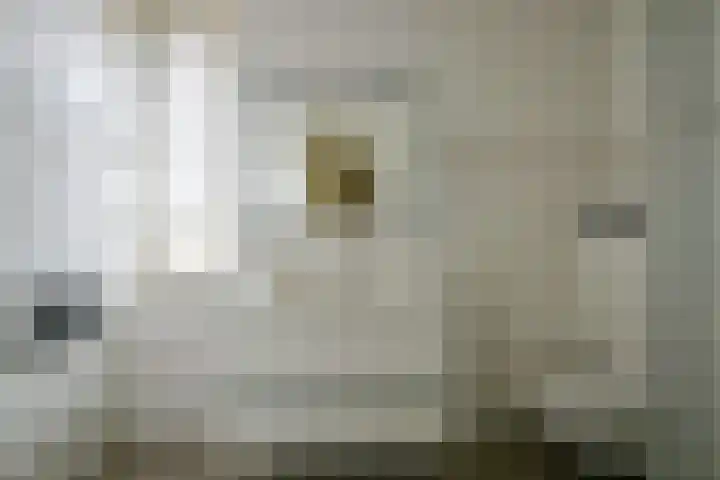 De Vooruitgang 14 Wervershoof thumbnail 19