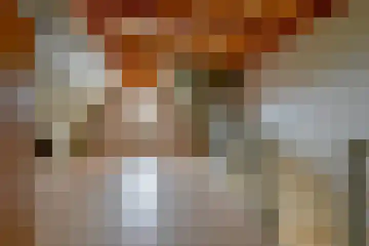 De Vooruitgang 14 Wervershoof thumbnail 22