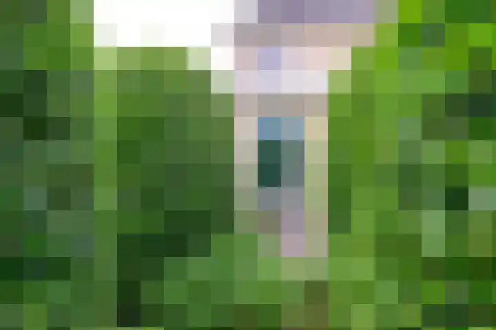 De Vooruitgang 14 Wervershoof thumbnail 24