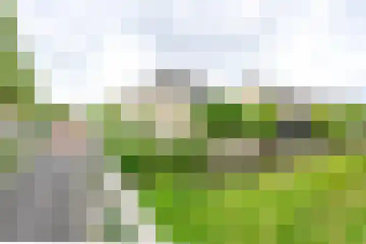 De Vooruitgang 14 Wervershoof thumbnail 27