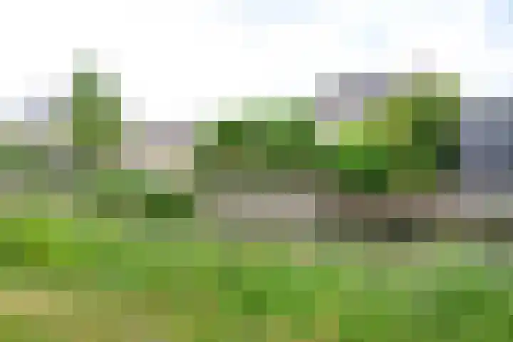 De Vooruitgang 14 Wervershoof thumbnail 28