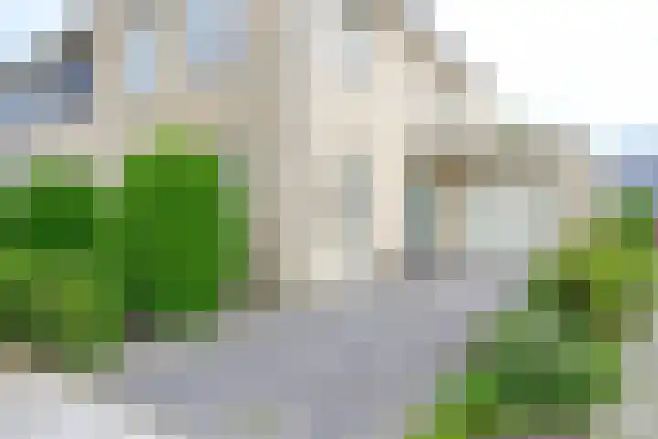 De Vooruitgang 14 Wervershoof thumbnail 29