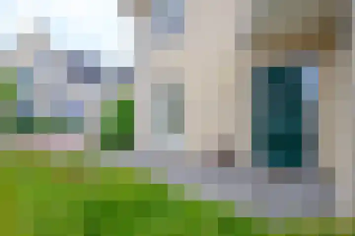 De Vooruitgang 14 Wervershoof thumbnail 31
