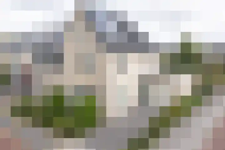 De Vooruitgang 14 Wervershoof thumbnail 33
