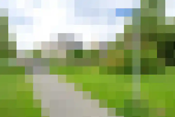 De Vooruitgang 14 Wervershoof thumbnail 34