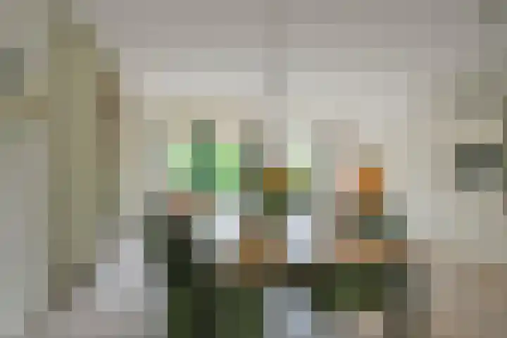 De Vooruitgang 14 Wervershoof thumbnail 7