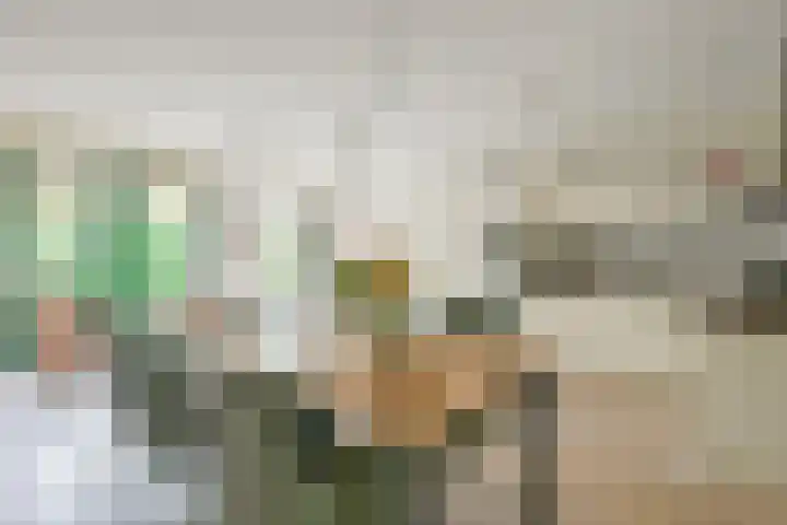 De Vooruitgang 14 Wervershoof thumbnail 8