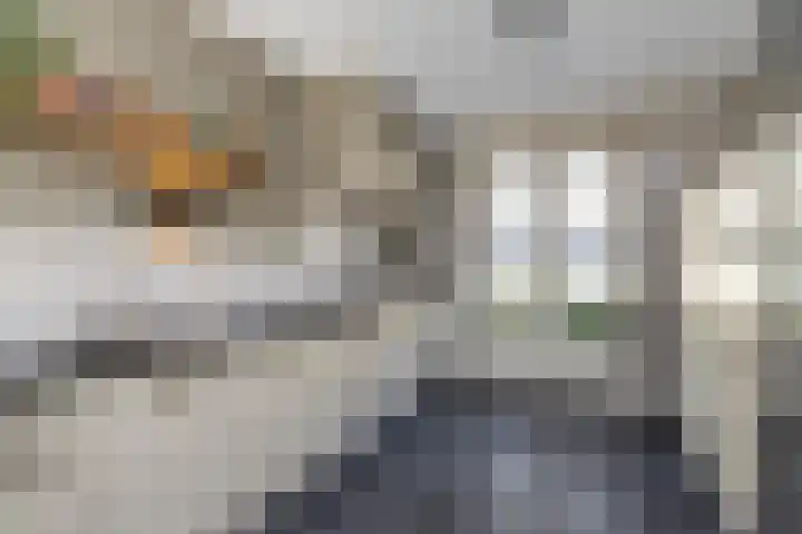 De Vooruitgang 29 Wervershoof thumbnail 12