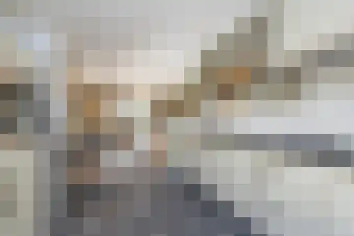 De Vooruitgang 29 Wervershoof thumbnail 15