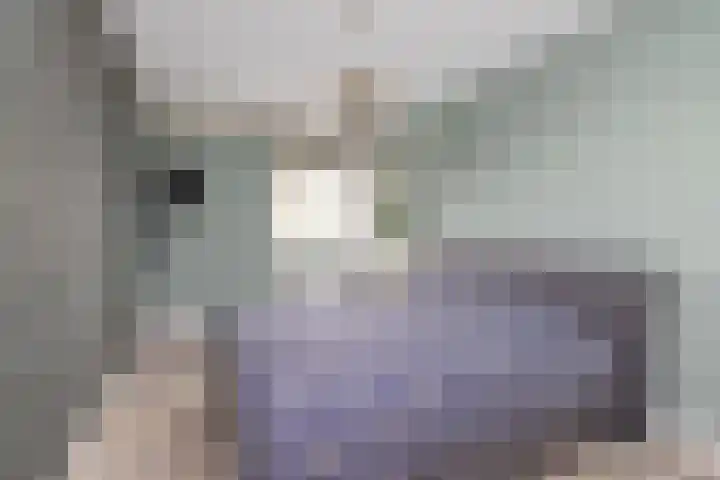 De Vooruitgang 29 Wervershoof thumbnail 17