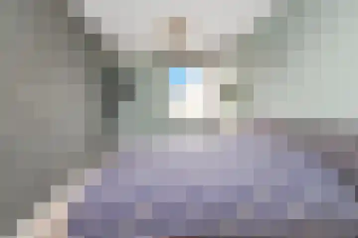 De Vooruitgang 29 Wervershoof thumbnail 18