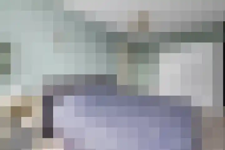 De Vooruitgang 29 Wervershoof thumbnail 19