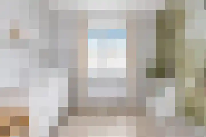 De Vooruitgang 29 Wervershoof thumbnail 24