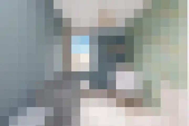 De Vooruitgang 29 Wervershoof thumbnail 27